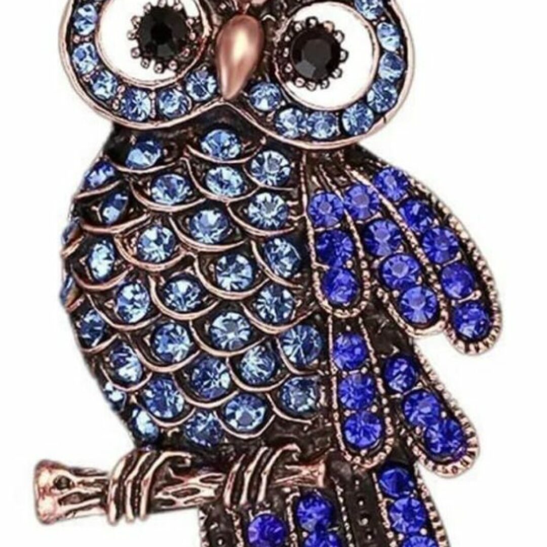 Owl Brooch